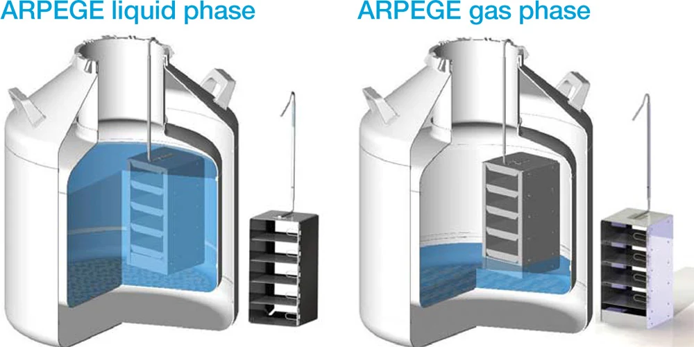 Cryopal Arpege serisi dijital kontrol paneli