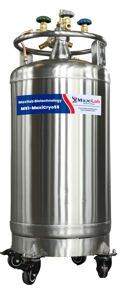 MS1-MaxiCryo basınçlandırma valfi