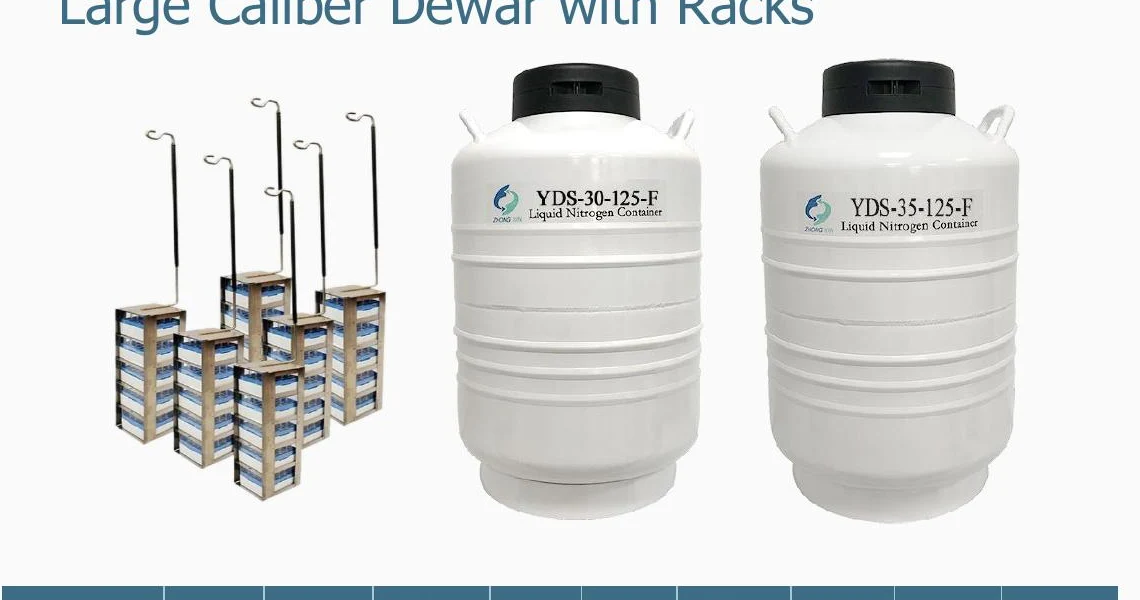 FinolaMED YDS-30-125-F rackli sıvı azot numune saklama tankı